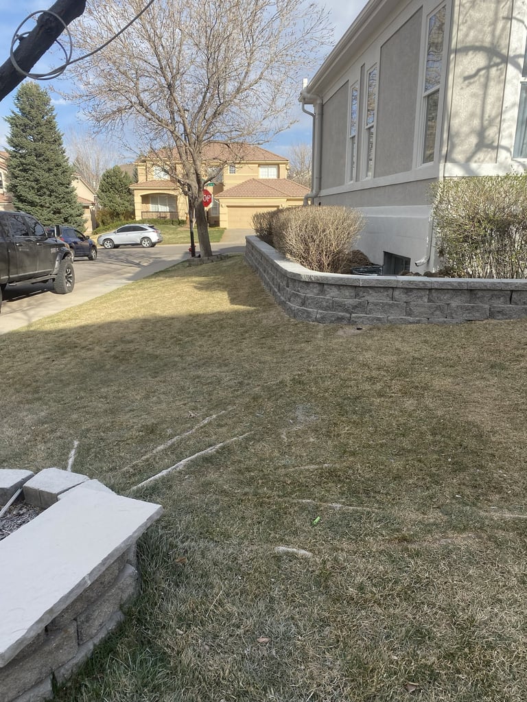 Front yard of a suburban home with brown lawn, stone foundation, bare trees, and neighboring houses visible