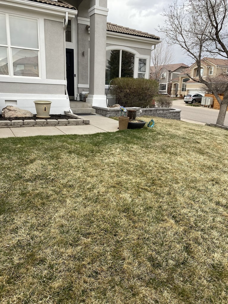 Front yard of modern two-story house with sparse brown grass, stone planter, and neighboring homes visible