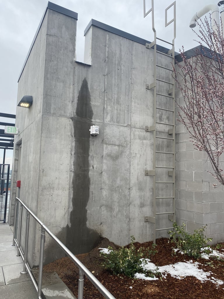 Concrete building facade with metal ladder and stained vertical mark, bare branches and mulch visible below