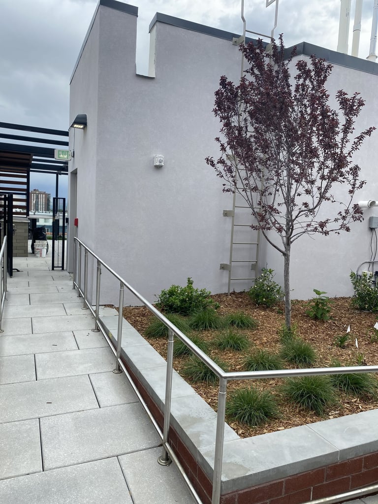 Modern white building with metal railing, paved pathway, and landscaped garden with small trees and shrubs